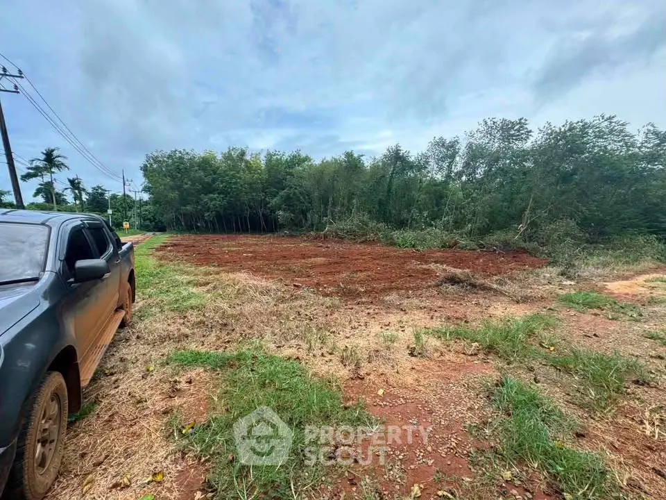 Expansive plot of land with lush greenery, ideal for development or investment opportunities.