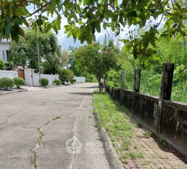 image_rental-28030081