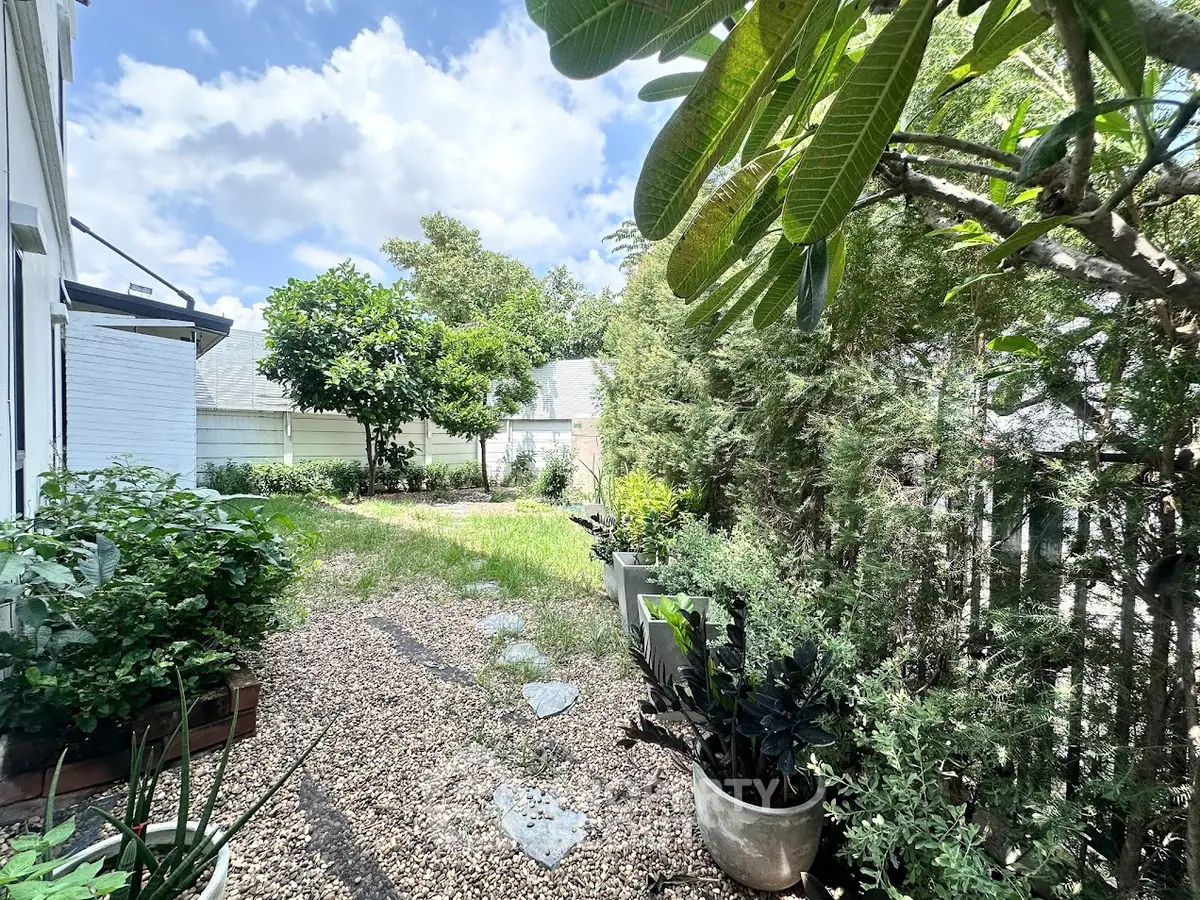 Charming backyard garden with lush greenery and stone pathway under a bright blue sky.