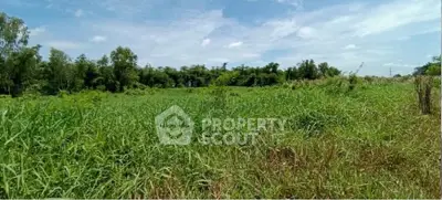 Expansive green land with lush vegetation, perfect for development opportunities.