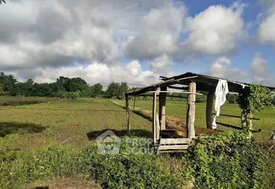 image_rental-31709677