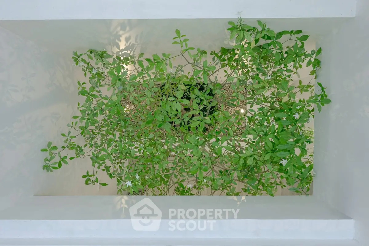 Modern architectural feature with lush greenery enhancing aesthetic appeal