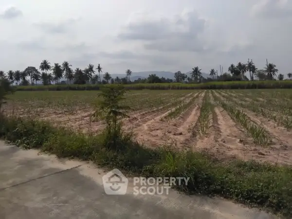 image_rental-30003480