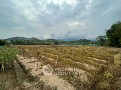 image_rental-31536531