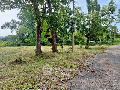 Spacious land plot with lush greenery and trees, ideal for development or investment opportunities.