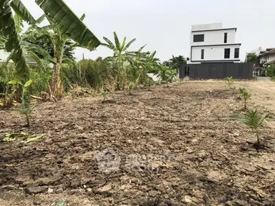 Spacious land plot with potential for development, featuring a modern building and lush greenery.