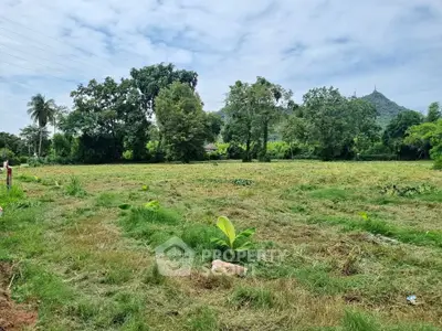 image_rental-27397803