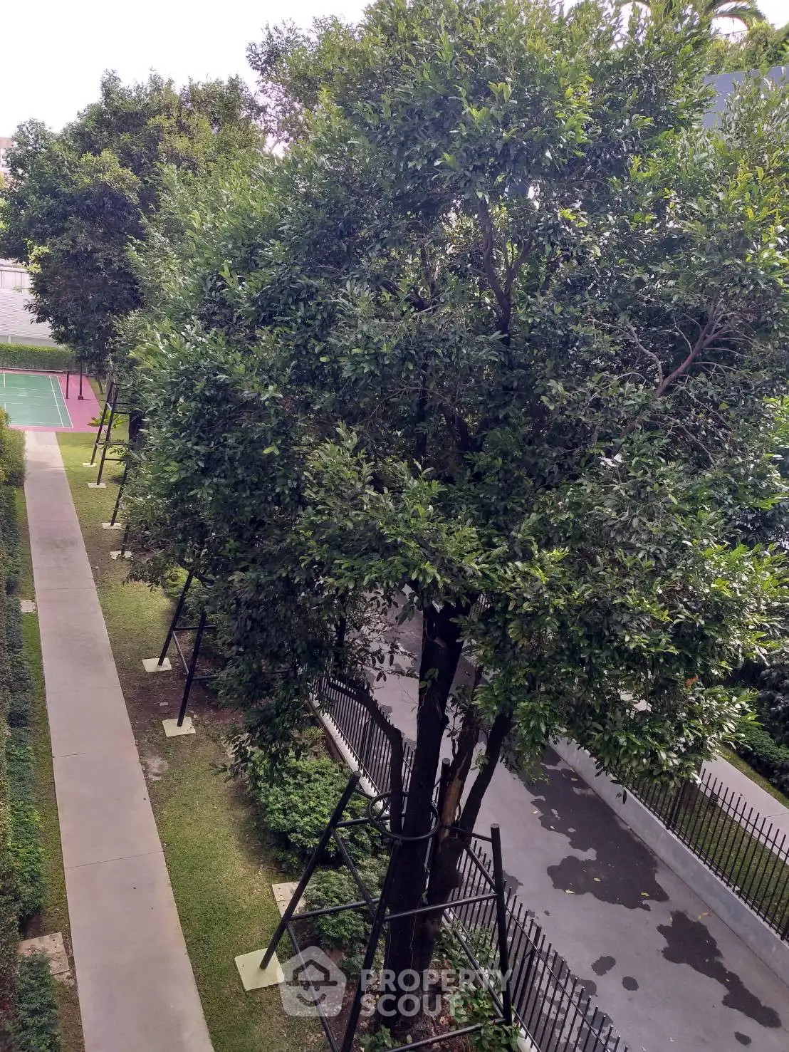 Lush garden view with tall trees and a tennis court in a serene residential area.