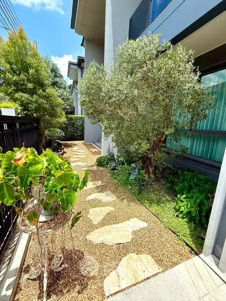 Charming garden pathway with lush greenery and modern building exterior, perfect for serene outdoor living.