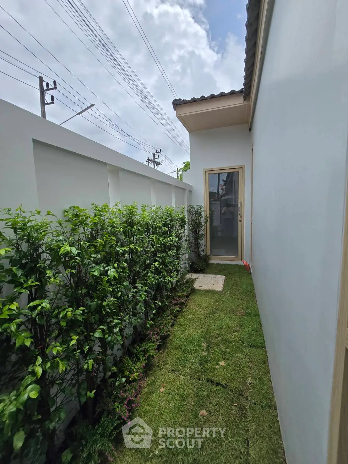 Charming side garden with lush greenery and modern exterior wall, perfect for relaxation and outdoor enjoyment.