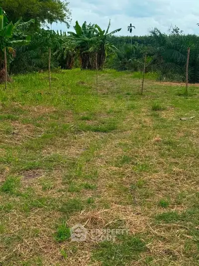 Expansive green land with lush vegetation, perfect for agricultural development or serene countryside living.