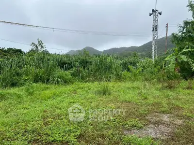 Lush green land with scenic mountain views, perfect for development or investment opportunities.