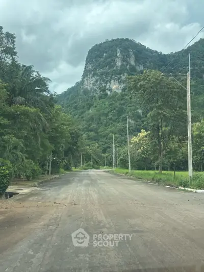 Scenic road with lush greenery and mountain view, perfect for tranquil living.