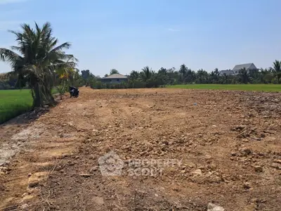 Expansive plot of land with palm trees, ideal for development in a serene rural setting.
