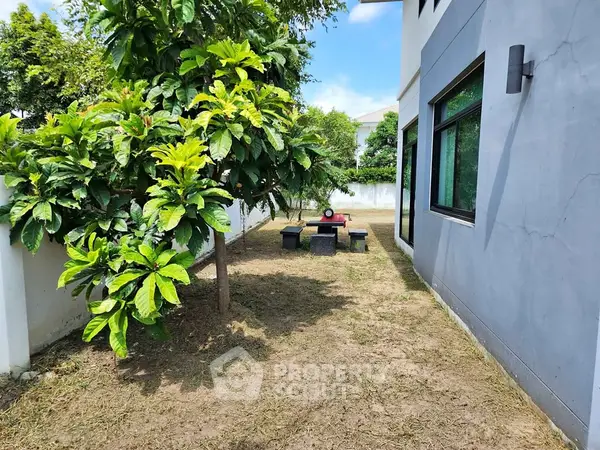 image_rental-27954325