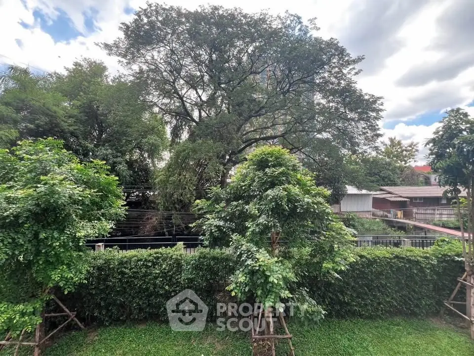 Lush garden view with mature trees and greenery, perfect for nature lovers seeking tranquility.