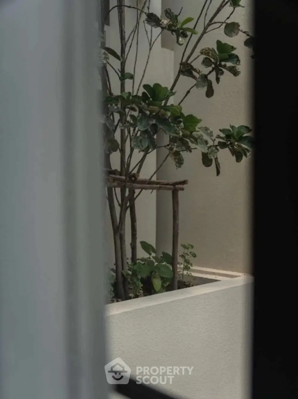 Elegant view of a modern planter with lush greenery enhancing the serene ambiance of the space.