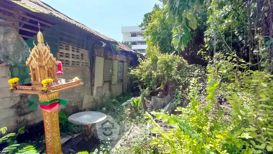 Explore a unique property with lush greenery and traditional charm, perfect for creative renovation projects.