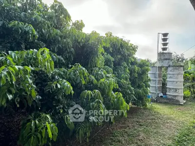 Lush garden with mature trees and a rustic water tower, perfect for nature lovers.