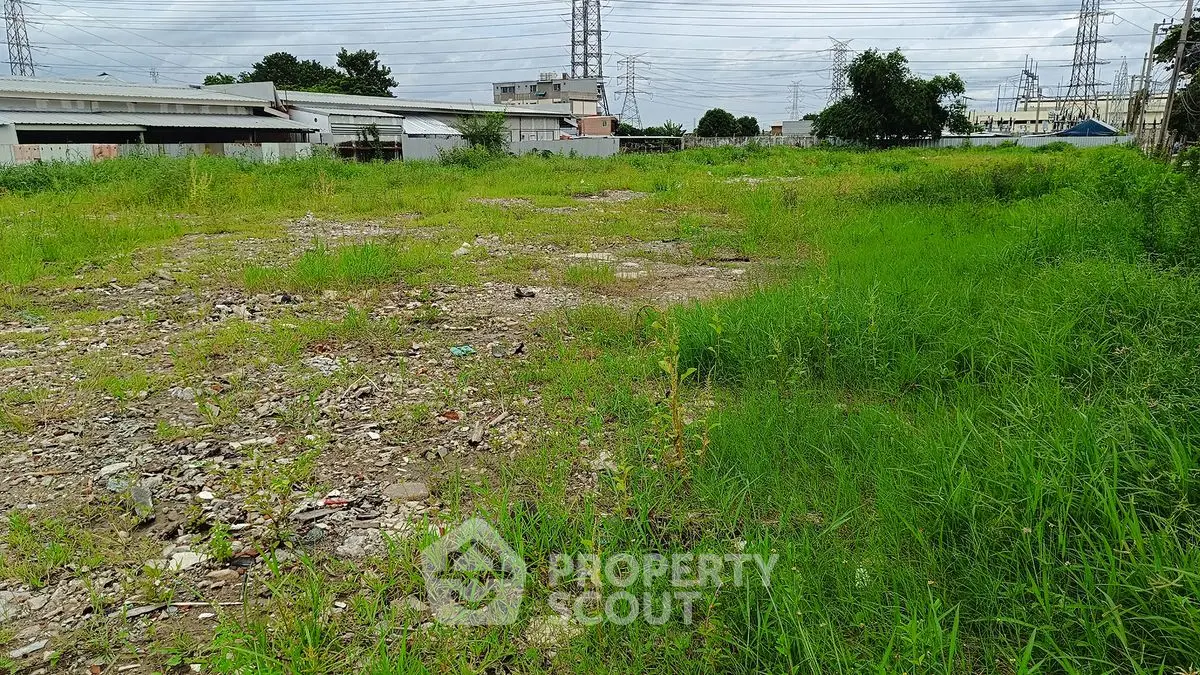 Spacious vacant land with lush greenery, ideal for development opportunities.