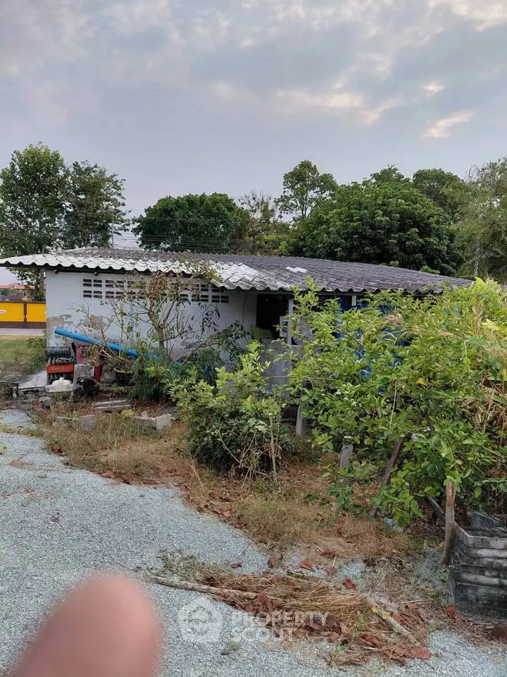 Charming rustic house with lush greenery and spacious outdoor area, perfect for nature lovers seeking tranquility.