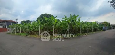 Spacious corner lot with lush banana trees in a serene neighborhood.