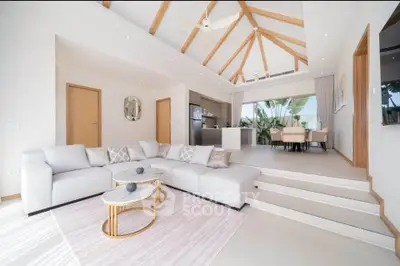 Spacious modern living room with open kitchen and high ceilings