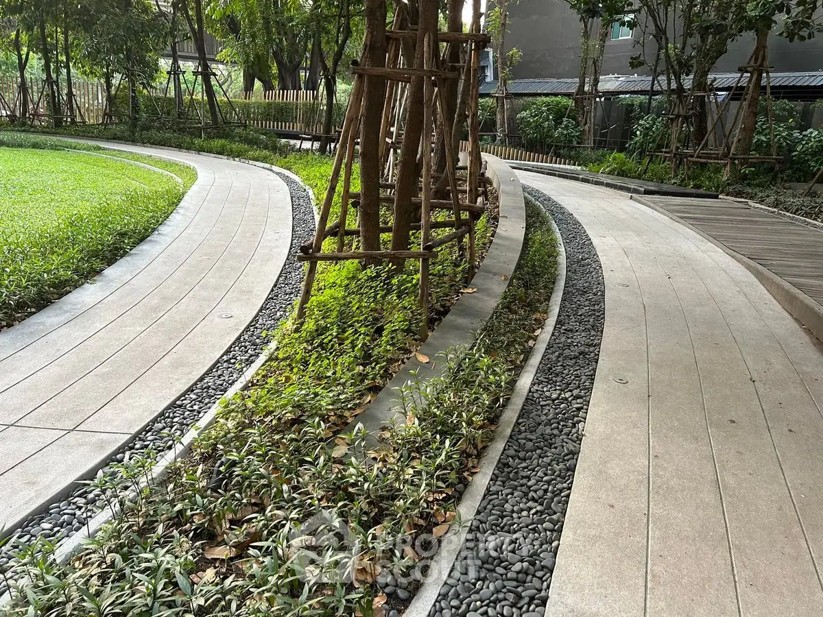 Serene garden pathway with lush greenery and modern design