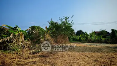 image_rental-30486479