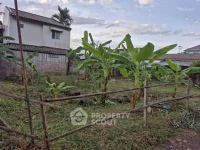 Spacious garden area with banana plants and rustic fencing, perfect for landscaping opportunities.