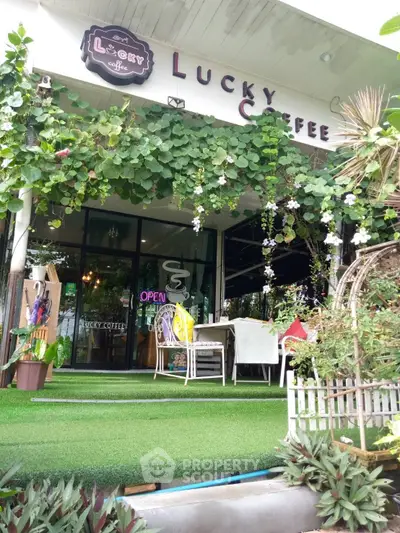 image_rental-30574132