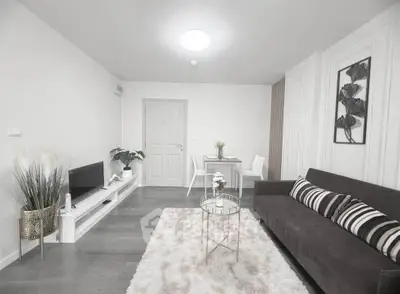 Stylish modern living room with cozy sofa and elegant decor