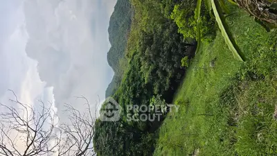 Scenic hillside view with lush greenery and distant mountains