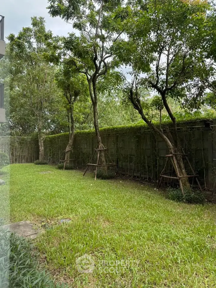 Lush green garden with tall trees and privacy wall, perfect for relaxation and outdoor activities.