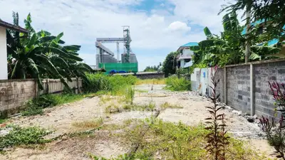 Spacious vacant land with lush greenery, ideal for development in a serene neighborhood.