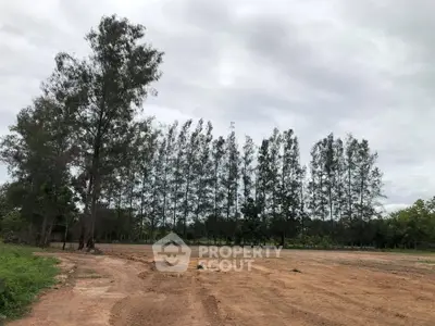 Expansive plot of land with trees, perfect for development or agriculture.