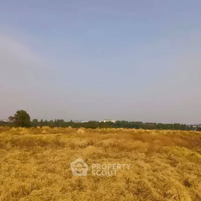 image_rental-29755107