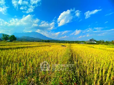 image_rental-29702270