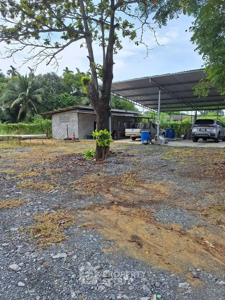 Spacious outdoor area with carport and lush greenery, ideal for storage or parking.