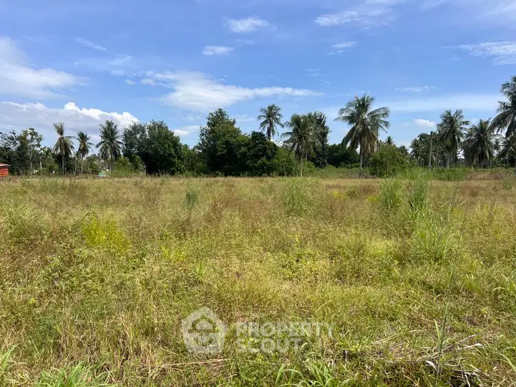 Expansive vacant land with lush greenery and palm trees under a clear blue sky.