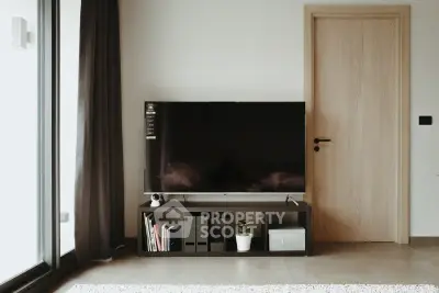 Modern living room with sleek TV stand and stylish decor
