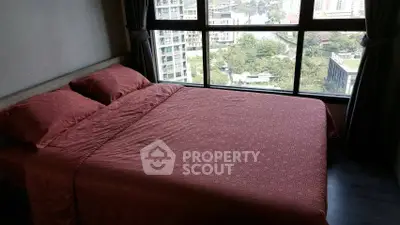 image_rental-30743247