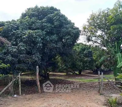 image_rental-27754667