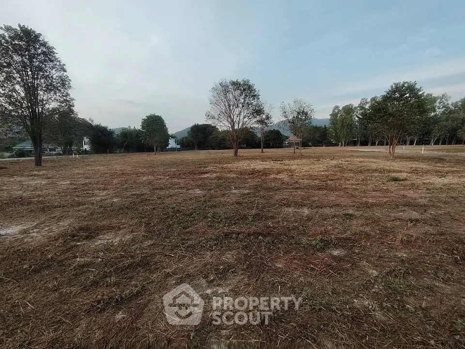Expansive plot of land with trees, perfect for development or investment opportunities.