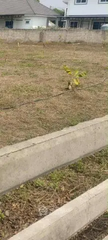 Vacant land plot with potential for development in a residential area.