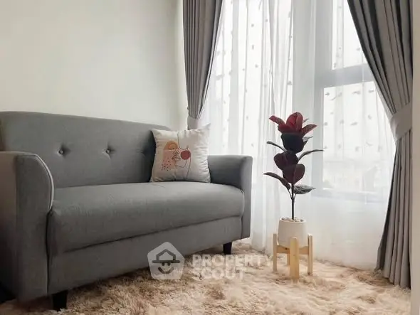 Cozy living room with elegant gray sofa and plush carpet by a sunlit window.