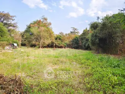 Spacious green land plot surrounded by lush trees, perfect for development or investment opportunities.