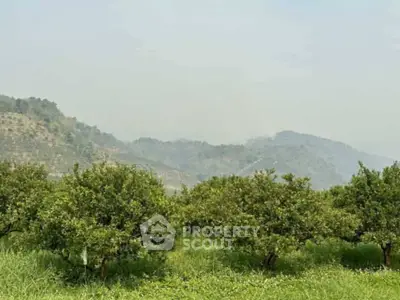 Scenic view of lush green orchard with rolling hills in the background, perfect for nature lovers.