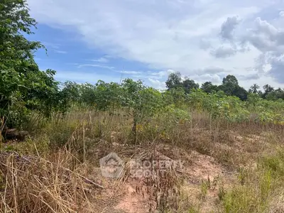 Expansive land with lush greenery under a clear blue sky, ideal for development or agriculture.