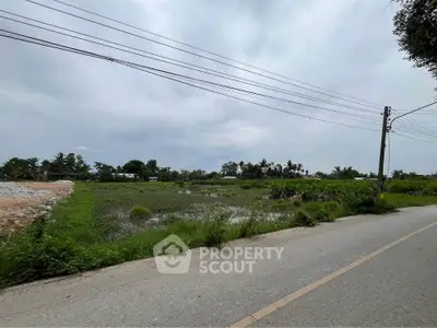 Expansive land plot with lush greenery and road access, ideal for development opportunities.